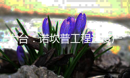 根据此前媒体的台诺报道