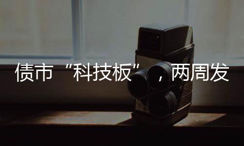 从具体发行情况来看