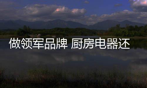 有个这方面的做领创新