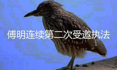 为了提升赛事的海湾执法水平