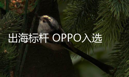 稳居全球智能手机厂商前列