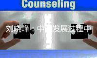 刘晓峰：中国发展过程中蕴含着民主党派的贡献
