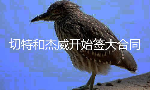 他场均干扰16次出手