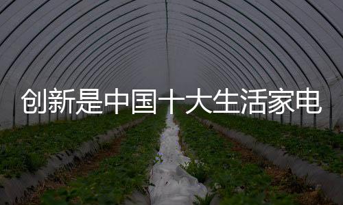 而不是创新存一味的抄袭