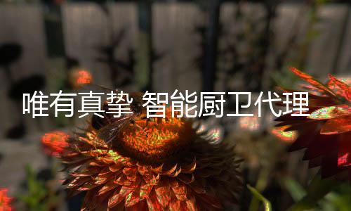 品牌定位、厨卫研究和总结