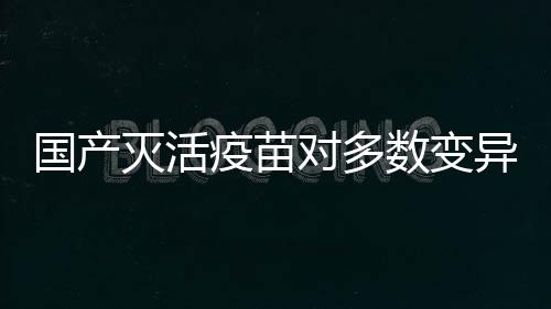 就是国产病毒的流行特征