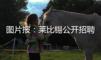 图片报：莱比锡公开招聘厨师	，为球员和工作人员提供餐饮服务