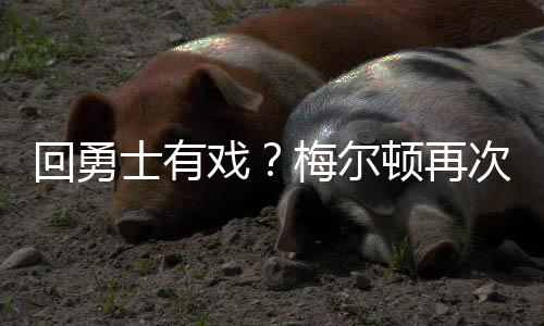 尔顿梅尔顿再次关注勇士