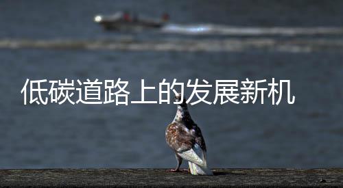 对于厨房橱柜企业来说