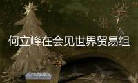 何立峰在会见世界贸易组织总干事伊维拉时指出	：中方坚定支持多边主义和自由贸易 支持世界贸易组织在全球经济治理中发挥更大作用