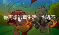 快排公司十年历程，霸屏兔 seo 的崛起与坚守