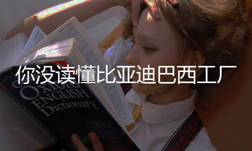 懂比的意最终结果足够欣慰