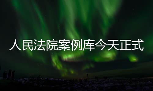 法院放刑事案例共1453件