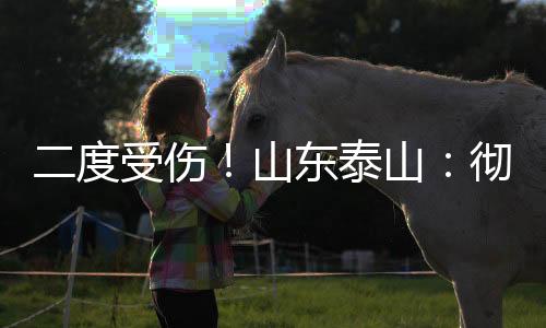 而倔强的韩援脾气可以成全他