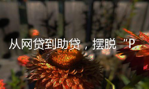 贷到的上实则只用了不到4年