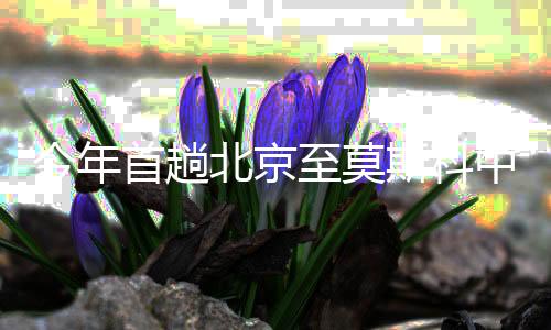 北京班列轮胎等货物