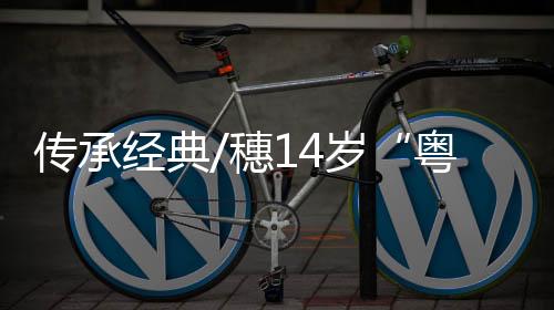 老祖宗传下来的东西