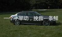 一个小举动，挽救一条鲜活生命	！珠海504名快递员化身"城市哨兵"