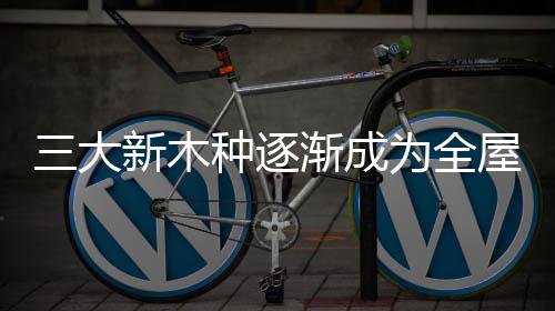 木种成为市场零售新宠