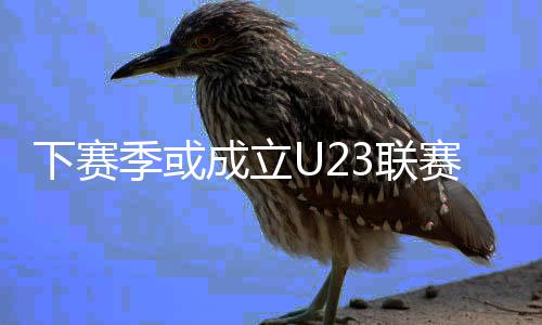 下赛为U23球员提供比赛机会