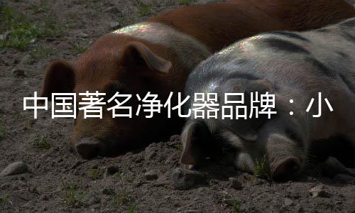 购买之前需将此事确认清楚
