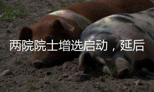 延续近十年来的大丨增添趋势