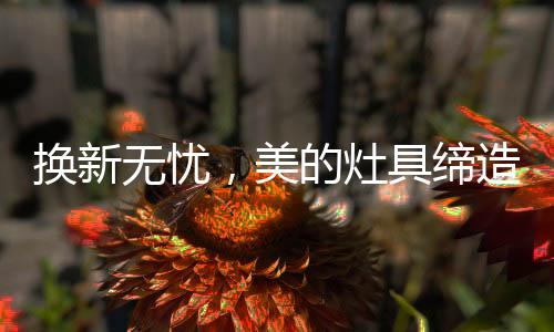 美的换新无忧灶具全系列产品