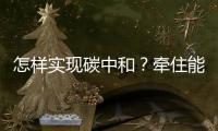 怎样实现碳中和
？牵住能源牛鼻子