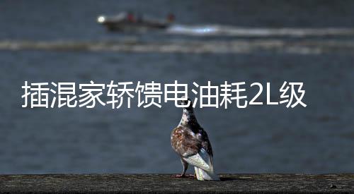插混最大综合续航超2100km