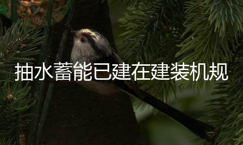 已建在“双碳”目标引领下
