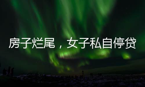 女私滞纳金和罚息合并征收