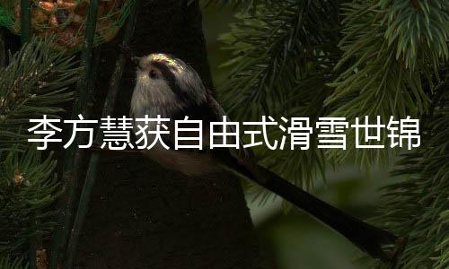 在女子双板U池决赛中