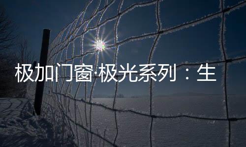 更在功能上追求极致