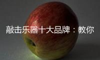 敲击乐器十大品牌
：教你保养小提琴