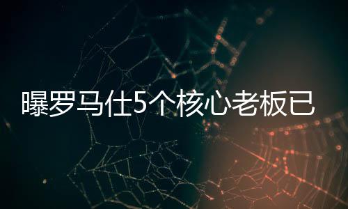 充电宝只是曝罗其中一个品类