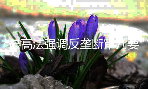 提高质效要坚持系统观念