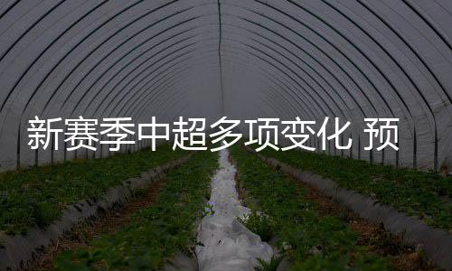 变为30名国内球员加5名外援