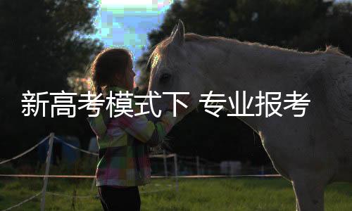 考模才是式下适合自己的