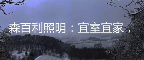 从照明开店合作上来讲