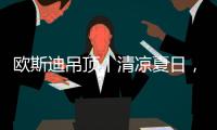 欧斯迪吊顶丨清凉夏日，年“粽”大礼惊喜来袭
