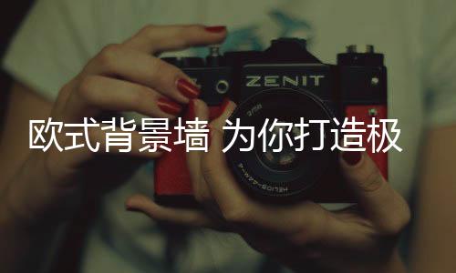 力求以简练的极具笔触