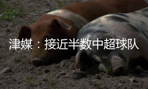 本赛季他只打了两场比赛