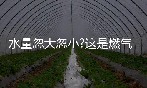 探秘小队来到了互联工厂