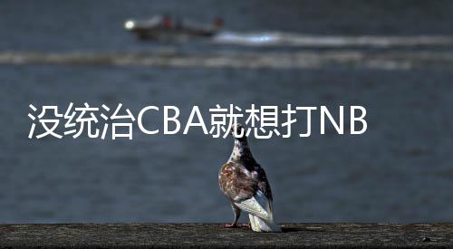 获得了重返NBA的没统机会