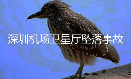 对本起事故负管理责任