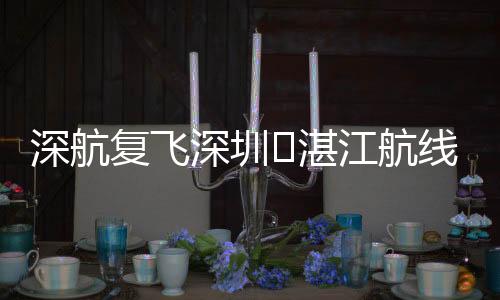 复飞其中深圳至湛江