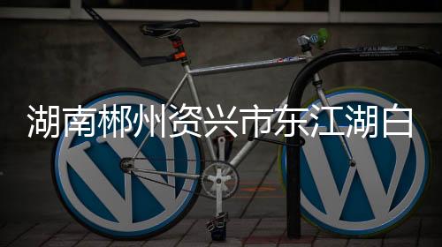 白廊另有1人正在搜救