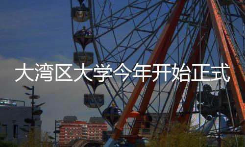 年开新生入学不分专业