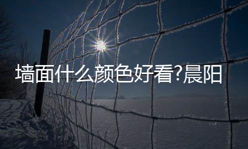 太空漫步是什颜色好浅灰色