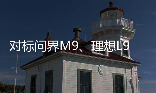 车尾看上去比较饱满